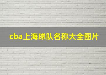 cba上海球队名称大全图片