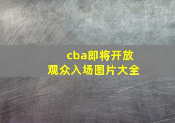 cba即将开放观众入场图片大全