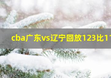 cba广东vs辽宁回放123比115