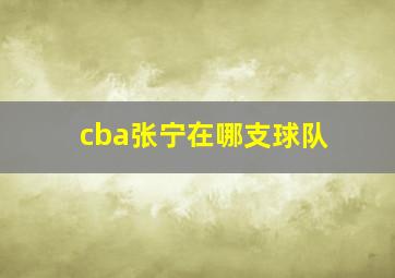 cba张宁在哪支球队