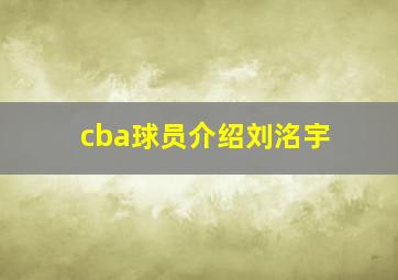 cba球员介绍刘洺宇