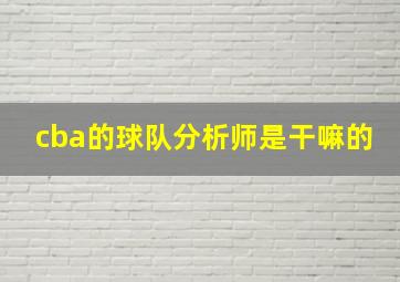 cba的球队分析师是干嘛的