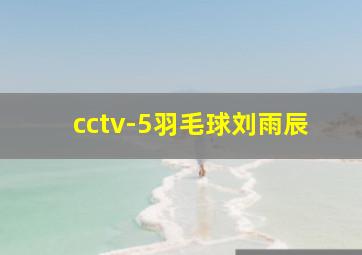 cctv-5羽毛球刘雨辰