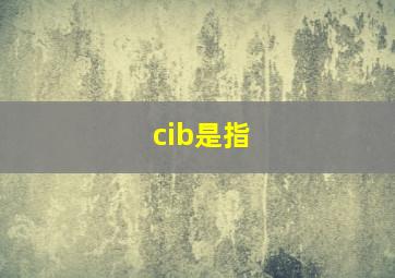 cib是指