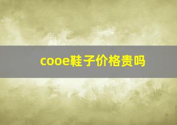 cooe鞋子价格贵吗