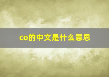 co的中文是什么意思