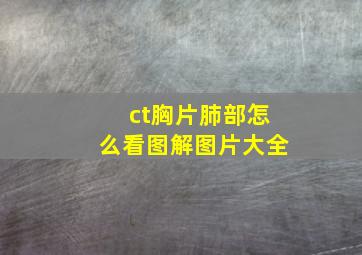 ct胸片肺部怎么看图解图片大全