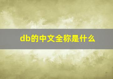 db的中文全称是什么