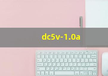 dc5v-1.0a