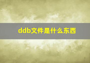 ddb文件是什么东西