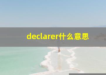 declarer什么意思