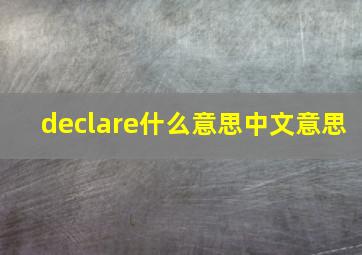 declare什么意思中文意思