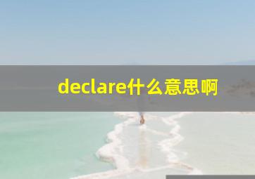 declare什么意思啊