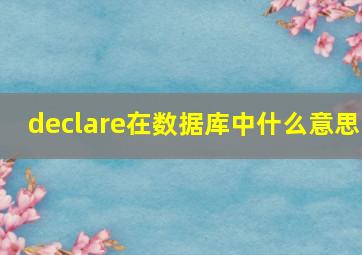 declare在数据库中什么意思