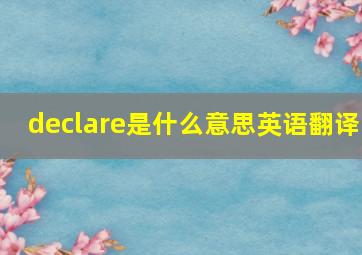 declare是什么意思英语翻译