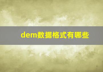 dem数据格式有哪些