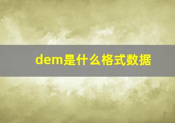 dem是什么格式数据