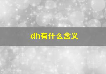 dh有什么含义