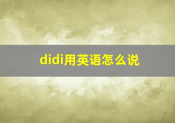 didi用英语怎么说