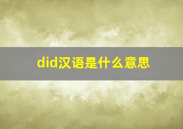 did汉语是什么意思