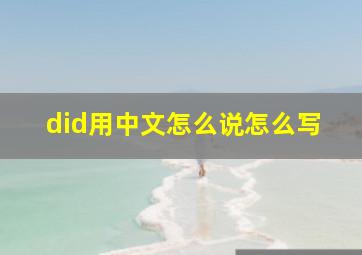 did用中文怎么说怎么写