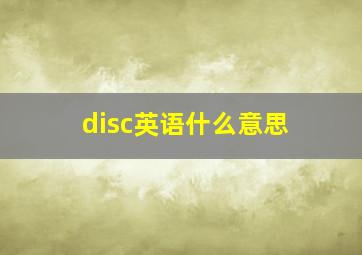 disc英语什么意思