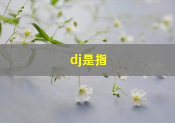 dj是指