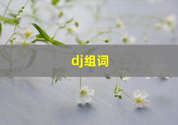 dj组词