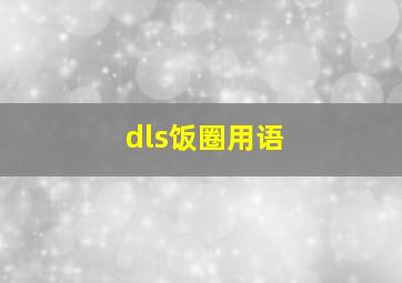 dls饭圈用语