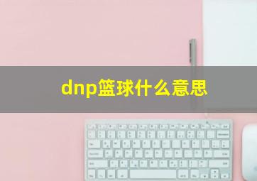 dnp篮球什么意思