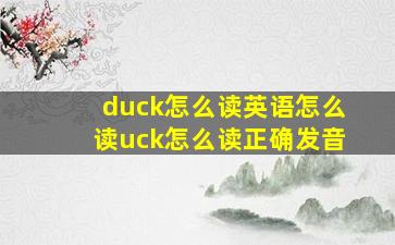 duck怎么读英语怎么读uck怎么读正确发音