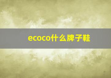 ecoco什么牌子鞋