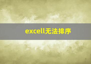 excell无法排序