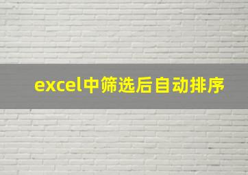 excel中筛选后自动排序