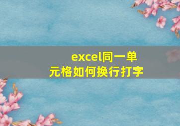 excel同一单元格如何换行打字