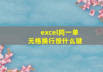 excel同一单元格换行按什么键