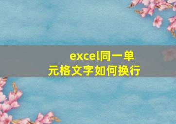 excel同一单元格文字如何换行