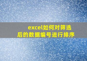 excel如何对筛选后的数据编号进行排序