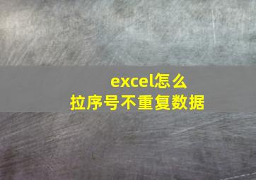 excel怎么拉序号不重复数据