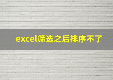 excel筛选之后排序不了