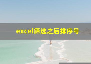 excel筛选之后排序号