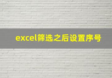 excel筛选之后设置序号