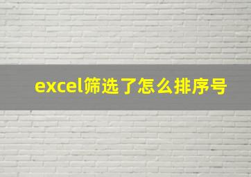 excel筛选了怎么排序号