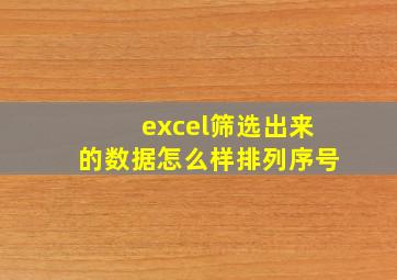 excel筛选出来的数据怎么样排列序号