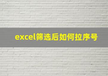 excel筛选后如何拉序号