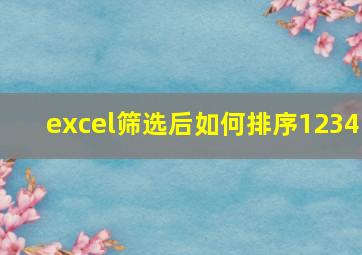 excel筛选后如何排序1234