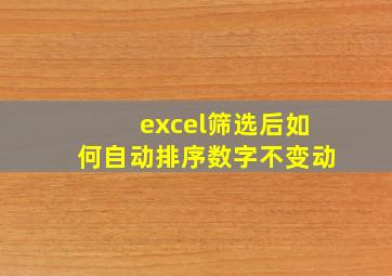 excel筛选后如何自动排序数字不变动