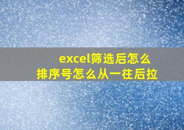 excel筛选后怎么排序号怎么从一往后拉