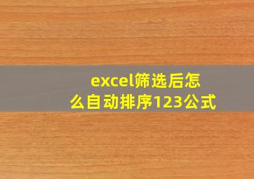 excel筛选后怎么自动排序123公式