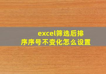 excel筛选后排序序号不变化怎么设置